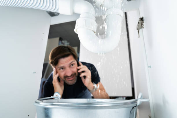 Best Affordable Plumbing Services  in Meadow Lake, NM